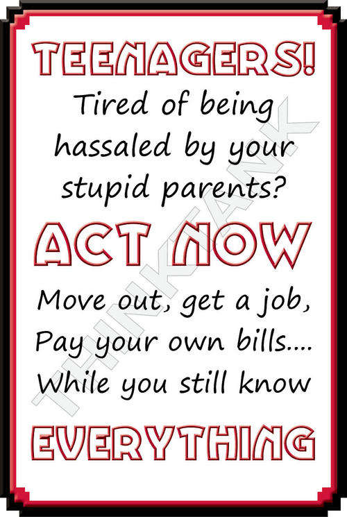 Pub Funny Metal Sign - Teenagers!