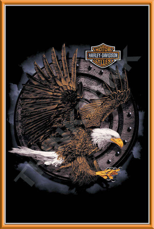 Harley Davidson - Eagle Metal Sign
