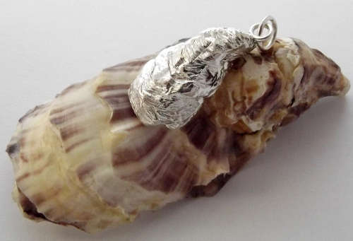 Knysna Lagoon Oyster with Freshwater Pearl