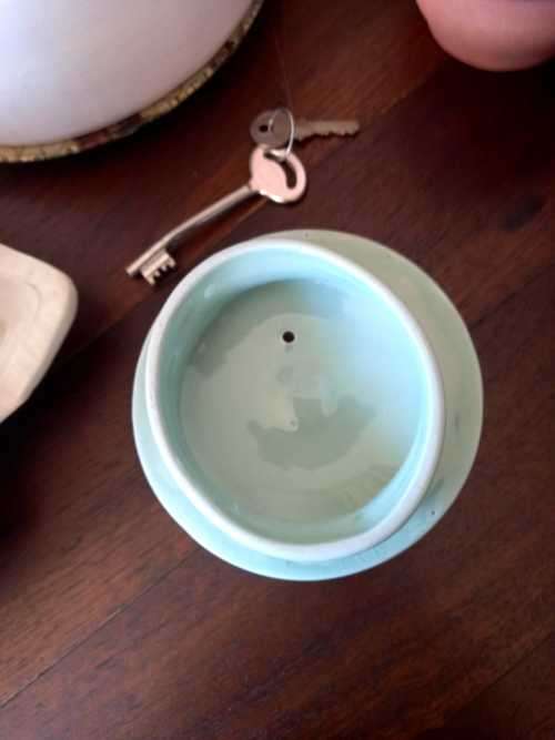 Woods tea[/pot in beutiful mint  green