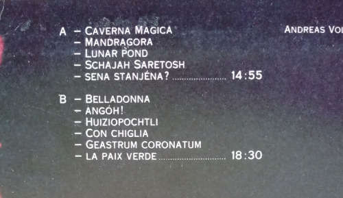 Andreas Vollenweider - Caverna Magica (Under the Tree-in the Cave) 1984 Vinyl LP SA