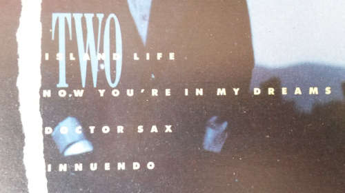 Michael Franks - The Camera Never Lies 1987 Vinyl LP SA