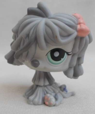 CUTE LITTLEST PET SHOP POODLE!!