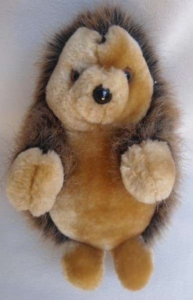 SWEET LITTLE HEDGEHOG!!