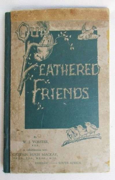 1938 FIRST EDITION - 'OUR FEATHERED FRIENDS' BY W.J. VORSTER - RARE BOOK ON SOUTH AFRICAN BIRDS!!