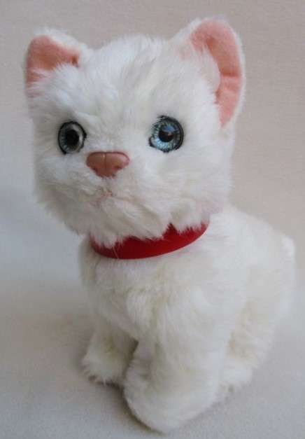 SWEET LITTLE WHITE KITTY WITH A CUTE PINK NOSE AND BLUE EYES!!