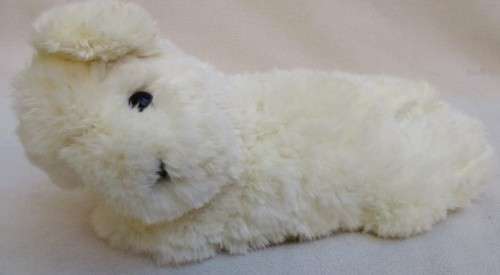 RELISTED - THE SOFTEST, SOFTEST LITTLE PUP EVER!!