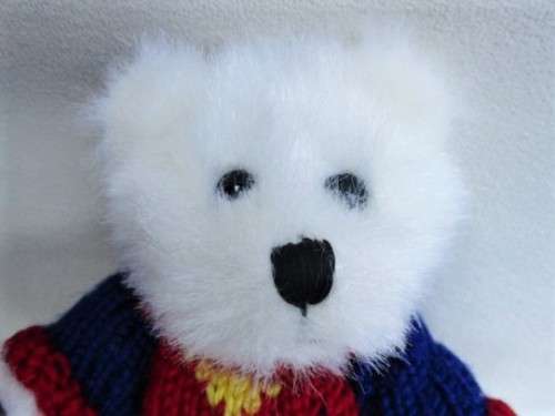 A VERY PRETTY WELL MADE, FULLY JOINTED BEAR OF FRENCH ORIGIN!!