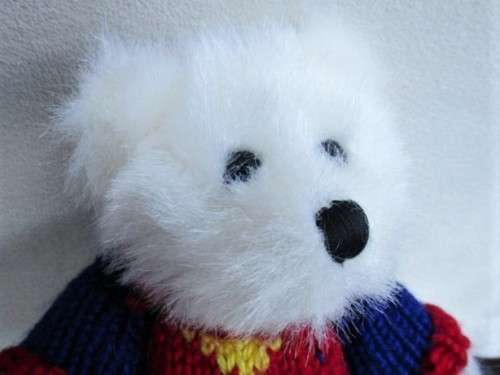 A VERY PRETTY WELL MADE, FULLY JOINTED BEAR OF FRENCH ORIGIN!!