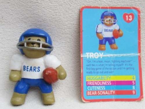 CUTE TEDDY IN MY POCKET WITH ORIGINAL CARD - TROY!!