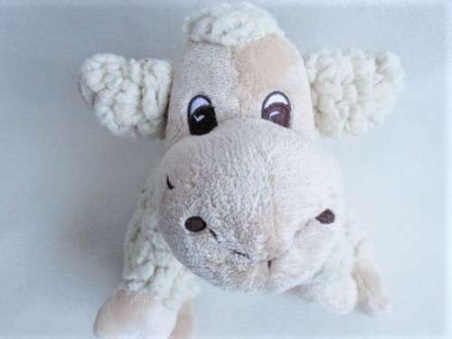 AN SOFT AND CLEAN TCHIBO LAMB!!