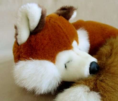 JUST LOVE THIS FOX TOWN, SWITZERLAND WINKING FOX!!