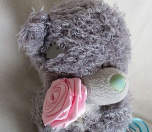 A LARGER TATTY TEDDY  (ME TO YOU) - HOLDING A PRETTY PINK ROSE