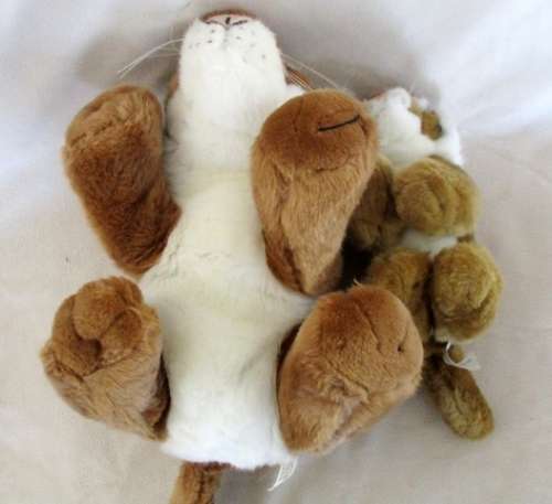 TWO COOL TIGERS FOR A COOL PRICE!