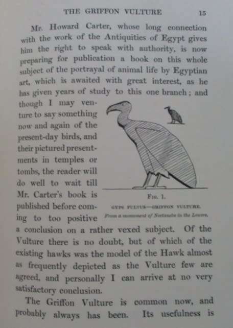 1909 FIRST EDITION - EGYPTIAN BIRDS PAINTED AND DESCRIBED BY CHARLES WHYMPER (51 COLOUR PLATES)
