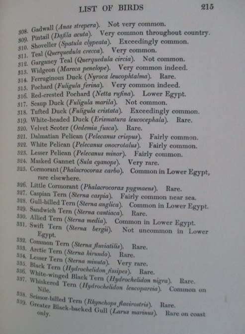 1909 FIRST EDITION - EGYPTIAN BIRDS PAINTED AND DESCRIBED BY CHARLES WHYMPER (51 COLOUR PLATES)