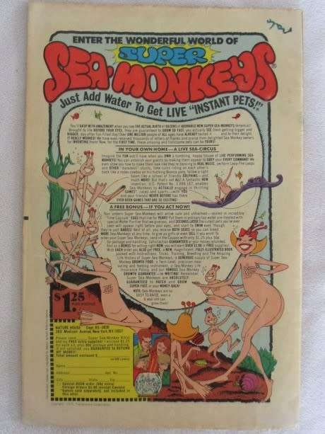 THREE SCARY CHARLTON COMICS FROM 1978 AND 1979