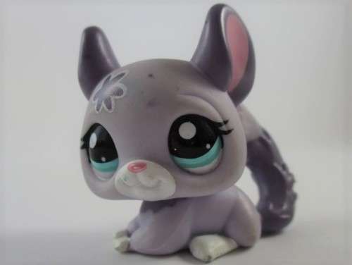 NO.26 - HASBRO LITTLEST PET SHOP - CHINCHILLA