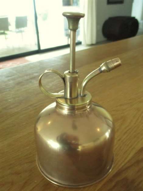 A SMALL VINTAGE BRASS MIST SPRAYER TO KEEP YOUR FERNS, ORCHIDS AND OTHER HOUSE PLANTS HAPPY!