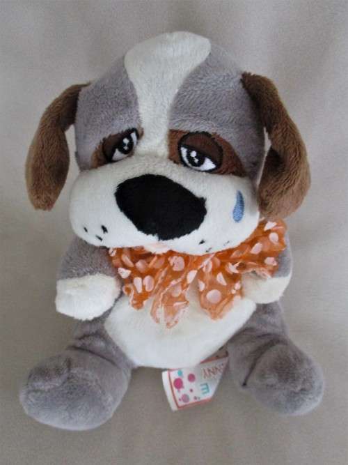 A CUTE, SAD JOE E JENNY DOG