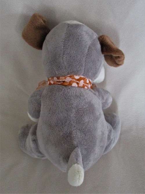 A CUTE, SAD JOE E JENNY DOG