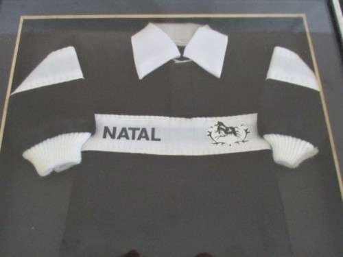 A FRAMED MINIATURE NATAL RUGBY JERSEY WITH PRE-SHARKIE, PRE-1995 WILDEBEEST LOGO