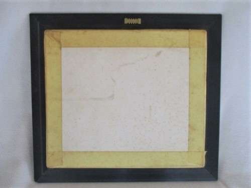 A FRAMED MINIATURE NATAL RUGBY JERSEY WITH PRE-SHARKIE, PRE-1995 WILDEBEEST LOGO