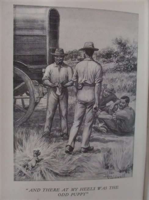 1949 - HARD COVER PLUS DUST JACKET - AN OLD EDITION OF JOCK OF THE BUSHVELD BY SIR PERCY FITZPATRICK