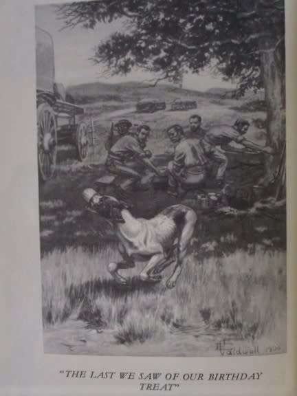 1949 - HARD COVER PLUS DUST JACKET - AN OLD EDITION OF JOCK OF THE BUSHVELD BY SIR PERCY FITZPATRICK