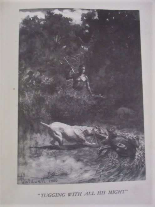 1949 - HARD COVER PLUS DUST JACKET - AN OLD EDITION OF JOCK OF THE BUSHVELD BY SIR PERCY FITZPATRICK