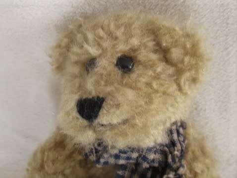 A CUTE FULLY JOINTED MINIATURE BOYDS BEAR WITH BOYDS BUTTON