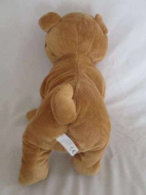 BARGAIN TIME!! A CUTE WRINKLY-FACED DOG