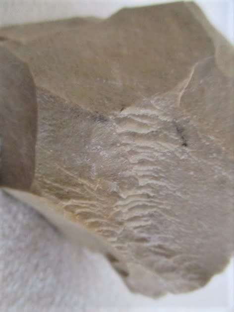 A COLLECTION OF ROUGH GEMSTONE ROCKS, CRYSTALS AND LARGER SIZE TUMBLE STONES