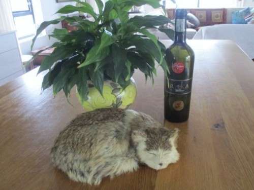 A REALISTIC SLEEPING CAT MADE FROM ARTIFICIAL "FUR"