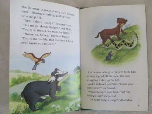 1993 HARD COVER BUZZ BOOK - THE ANIMALS OF FARTHING WOOD -  A NEW FRIEND  - GREAT CONDITION