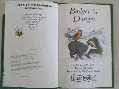 1994 HARD COVER BUZZ BOOK - THE ANIMALS OF FARTHING WOOD -  BADGER IN DANGER  - GREAT CONDITION