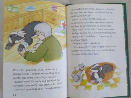 1994 HARD COVER BUZZ BOOK - THE ANIMALS OF FARTHING WOOD -  BADGER IN DANGER  - GREAT CONDITION