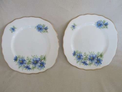 TWO COLLECTABLE COLCLOUGH SIDE PLATES