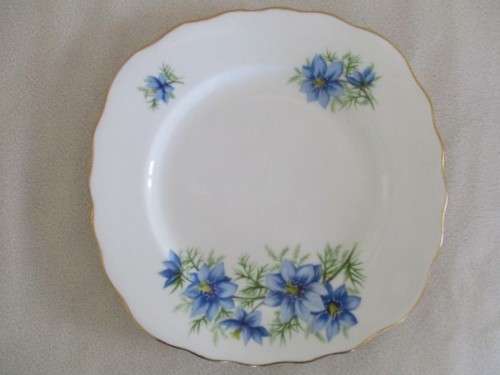 TWO COLLECTABLE COLCLOUGH SIDE PLATES