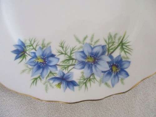 TWO COLLECTABLE COLCLOUGH SIDE PLATES
