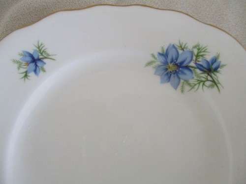 TWO COLLECTABLE COLCLOUGH SIDE PLATES