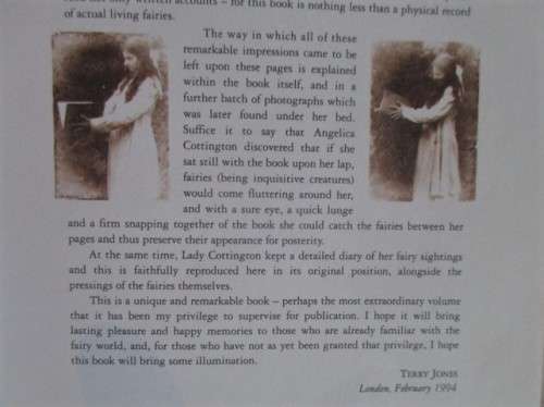 LADY COTTINGTON'S PRESSED FAIRY BOOK BY TERRY JONES - FOR ADULTS!