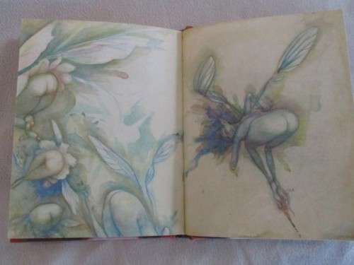LADY COTTINGTON'S PRESSED FAIRY BOOK BY TERRY JONES - FOR ADULTS!