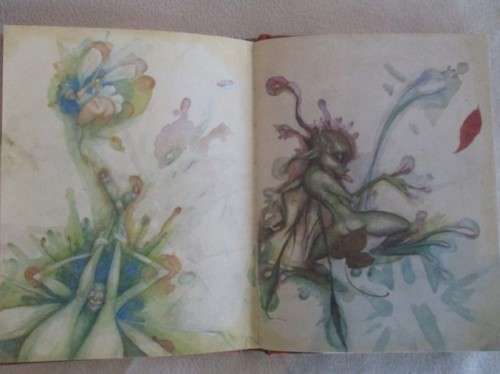 LADY COTTINGTON'S PRESSED FAIRY BOOK BY TERRY JONES - FOR ADULTS!