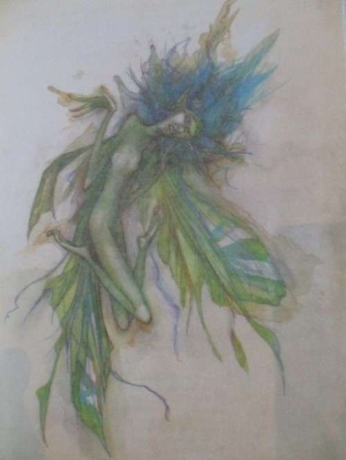 LADY COTTINGTON'S PRESSED FAIRY BOOK BY TERRY JONES - FOR ADULTS!