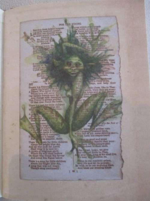 LADY COTTINGTON'S PRESSED FAIRY BOOK BY TERRY JONES - FOR ADULTS!