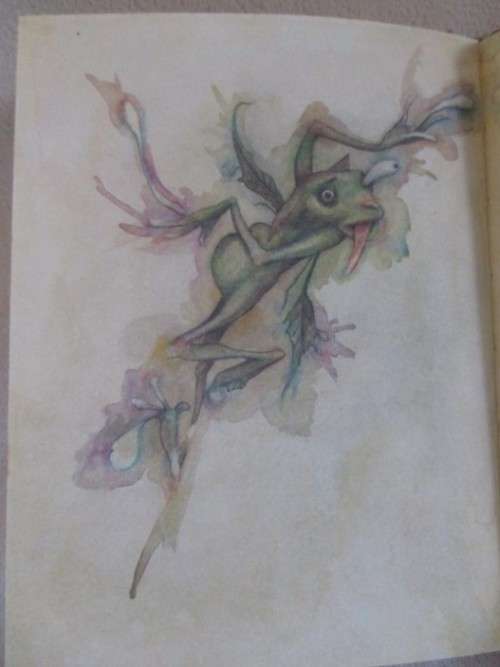 LADY COTTINGTON'S PRESSED FAIRY BOOK BY TERRY JONES - FOR ADULTS!