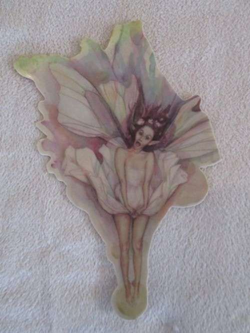 LADY COTTINGTON'S PRESSED FAIRY BOOK BY TERRY JONES - FOR ADULTS!