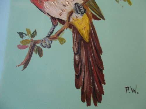 VINTAGE FRAMED HAND PAINTED JOHNSON SOUTH AFRICA TILE - GURNEY`S SUGARBIRD - SIGNED