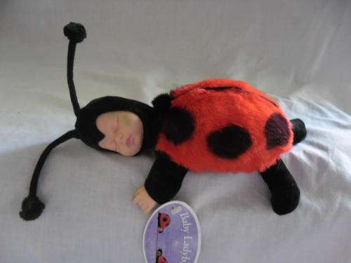 AND HERE IS THE ANNE GEDDES BABY LADYBUG